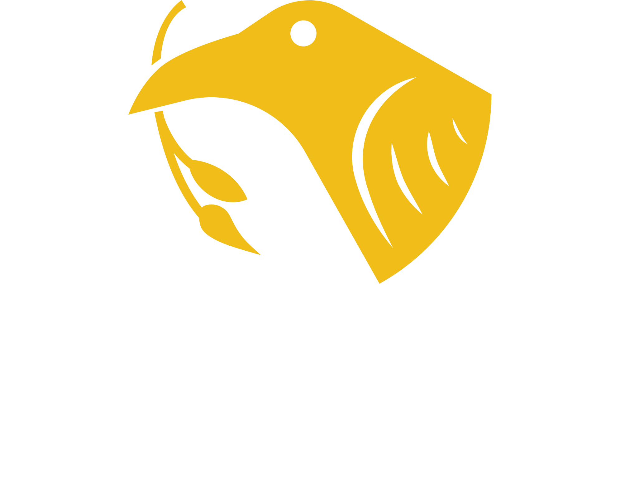 Raven Charity and Humanitarian Initiative